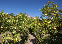 Hotel Giacomino - Insel Elba