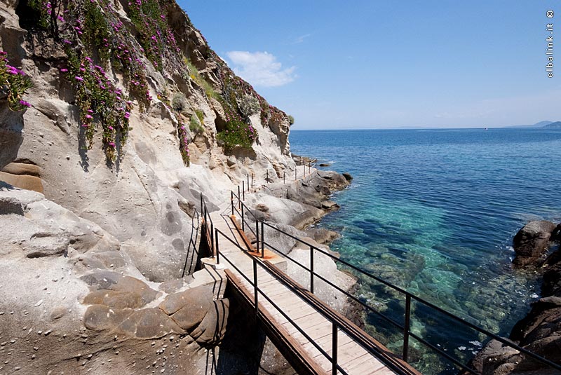 swallow headache lend Sant'andrea - Isola d'Elba - Il mare e le spiagge