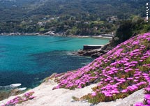 Hotel Giacomino - Island of Elba