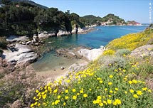 Hotel Giacomino - Isola d'Elba