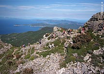 Hotel Giacomino - Insel Elba