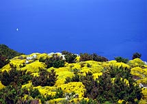 Hotel Giacomino - Island of Elba